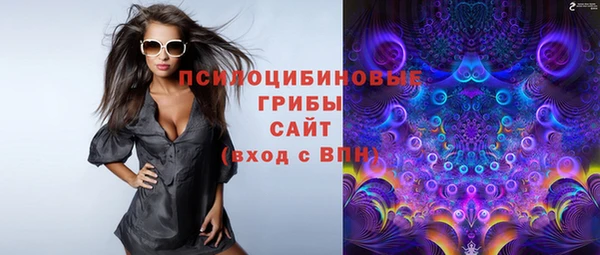меф Богородицк