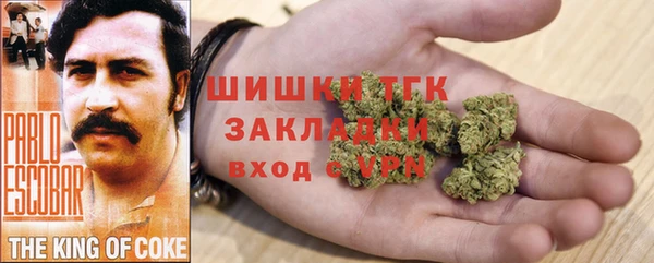 ECSTASY Богородск