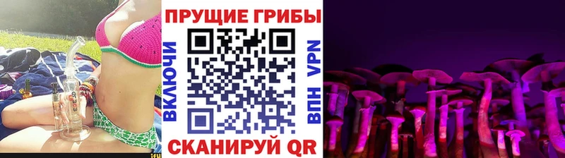 Галлюциногенные грибы Psilocybine cubensis  маркетплейс состав  Южноуральск  сколько стоит 
